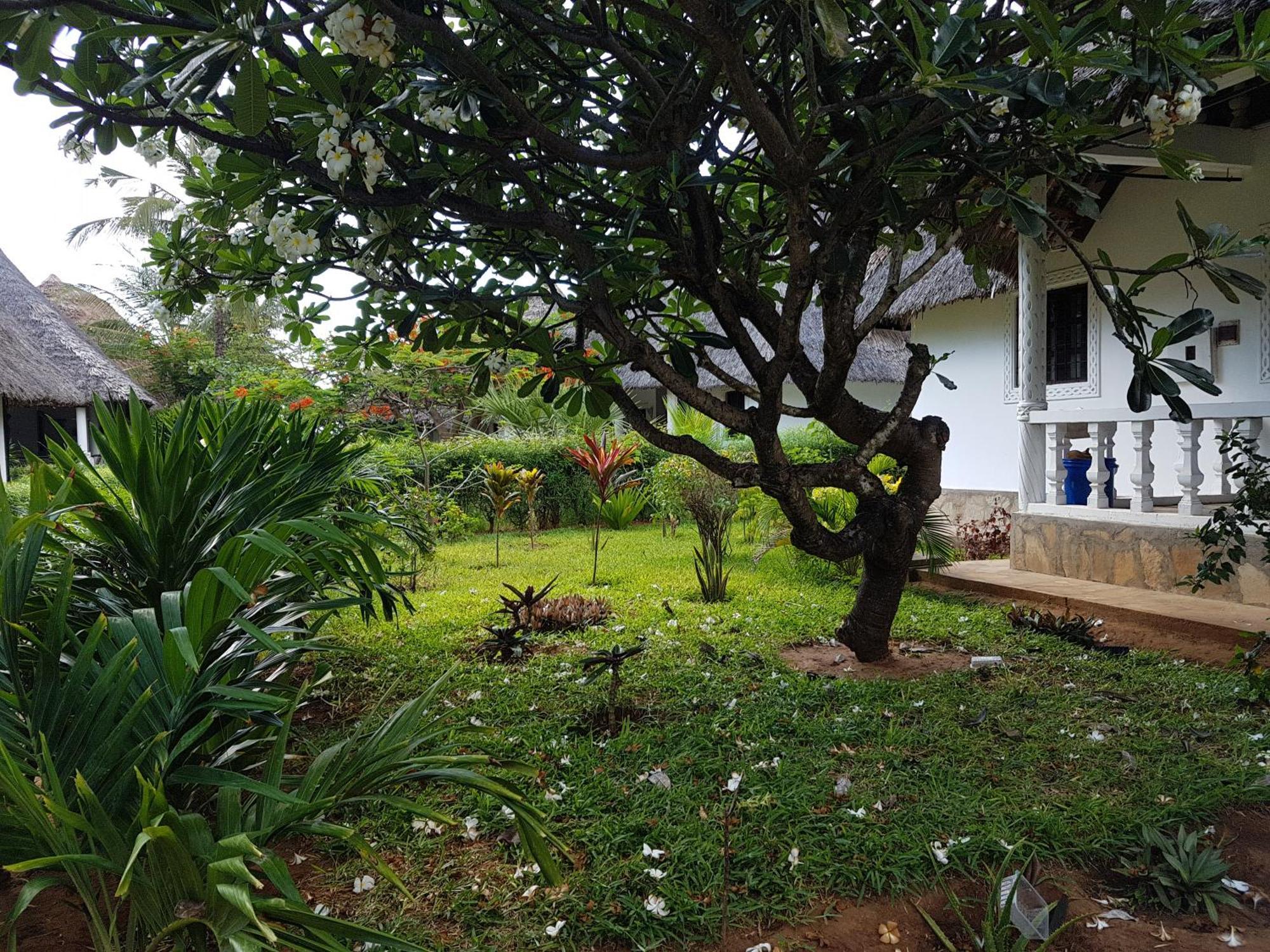 Karibuni Jeds Villas 85 & 86 Mambrui Exterior photo